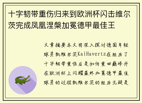 十字韧带重伤归来到欧洲杯闪击维尔茨完成凤凰涅槃加冕德甲最佳王